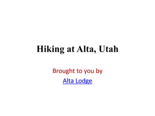 Hiking at Alta, Utah

   Brought to you by
      Alta Lodge
 