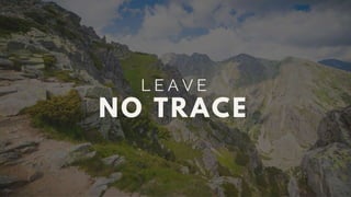 15 Essential Tips For A Successful Hike