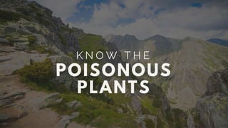 15 Essential Tips For A Successful Hike