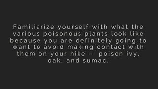 15 Essential Tips For A Successful Hike