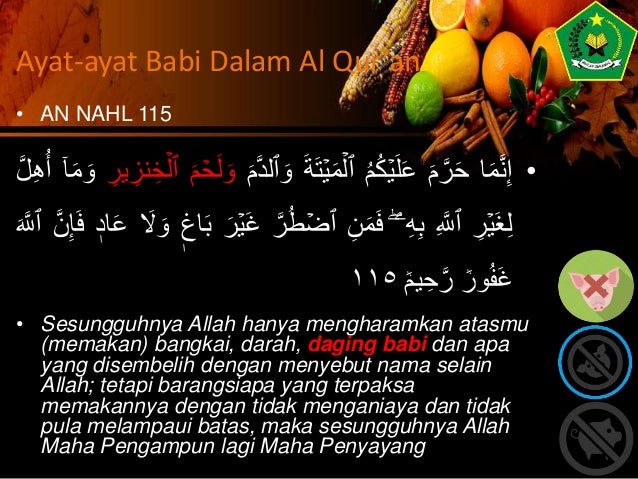 Hikmah Pengharaman Babi