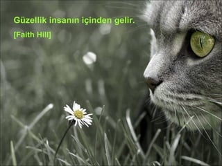 Güzellik insanın içinden gelir. [Faith Hill] 