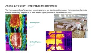 Animal Live Body Temperature Measurement
The thermographic Body Temperature screening cameras can also be used to measure the temperature of animals,
to locate swine Body Temperature or other disease rapidly, and ensure the health of live stock.
Healthy cow
Unhealthy cow
 