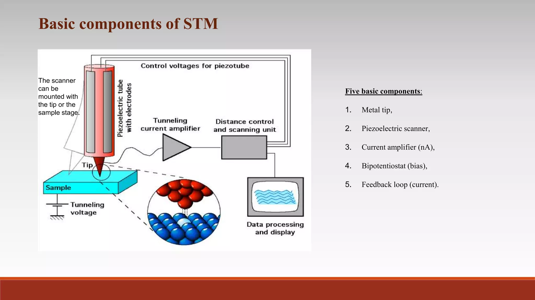 Scanning Tunneling Microscope | PPTX | Chemistry | Science