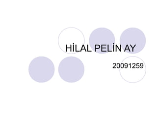 HİLAL PELİN AY
20091259
 