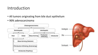 Introduction
• All tumors originating from bile duct epithelium
• 90% adenocarcinoma
 