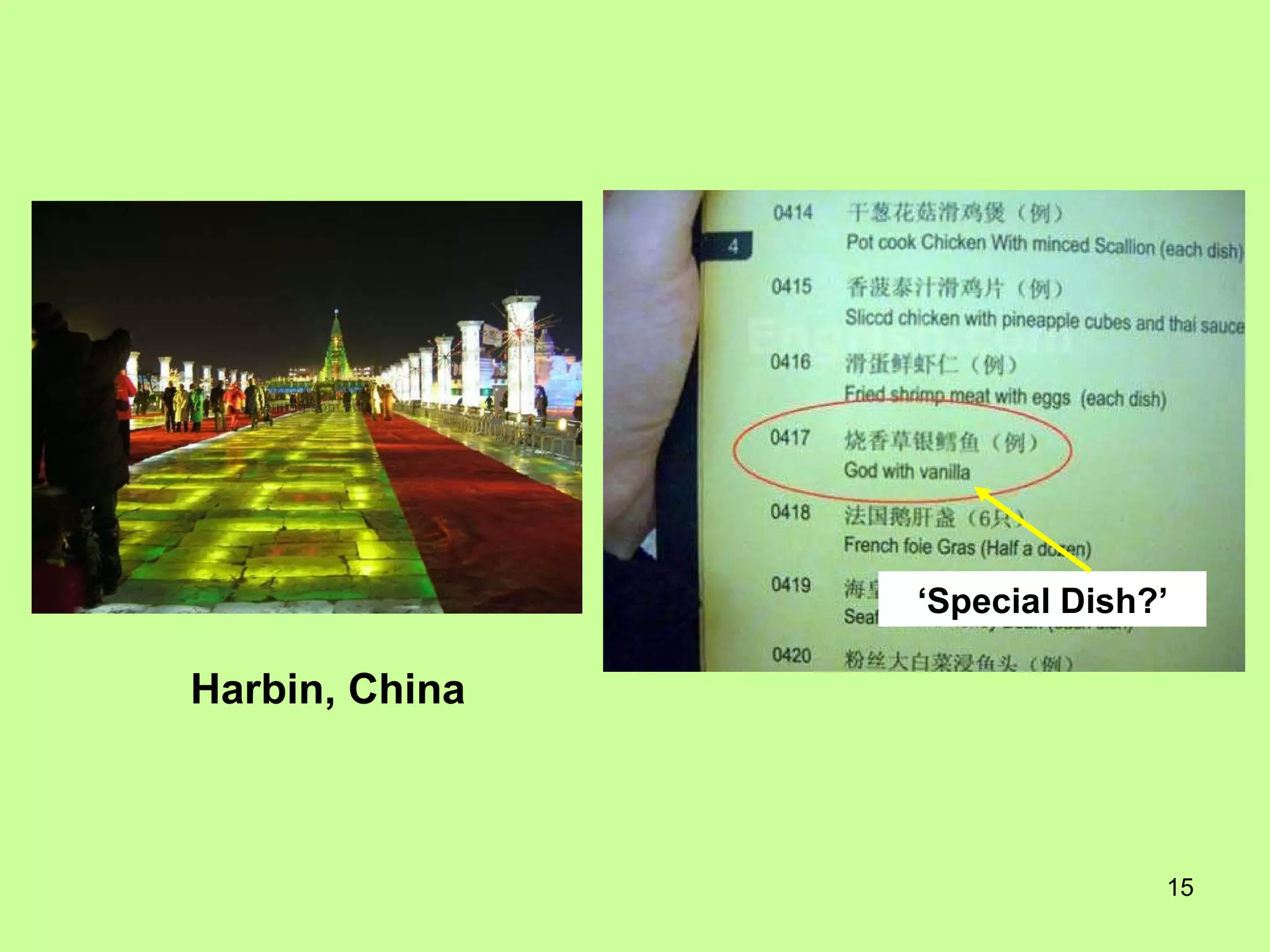 ‘ Special Dish?’ Harbin, China