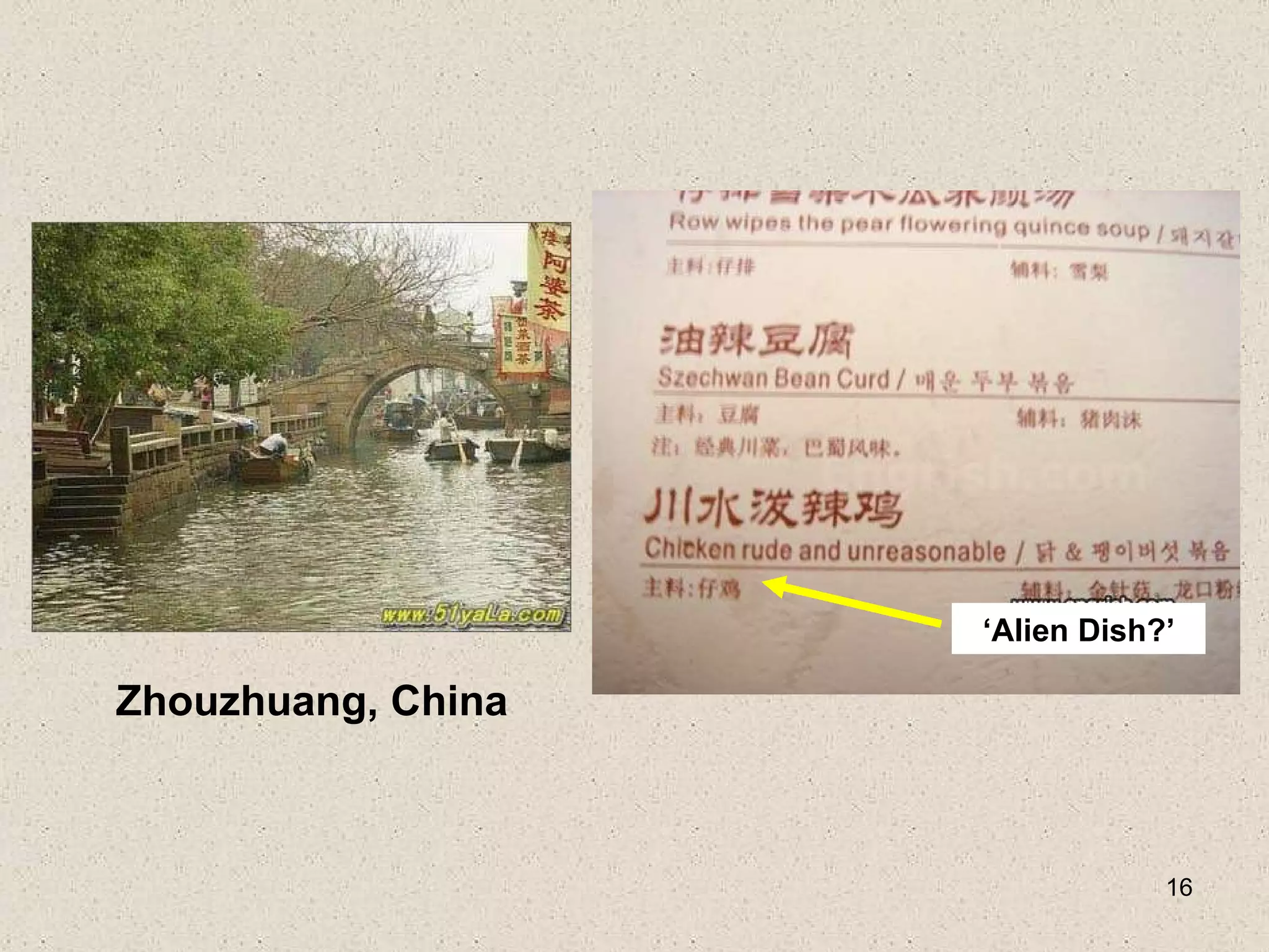 ‘ Alien Dish?’ Zhouzhuang, China