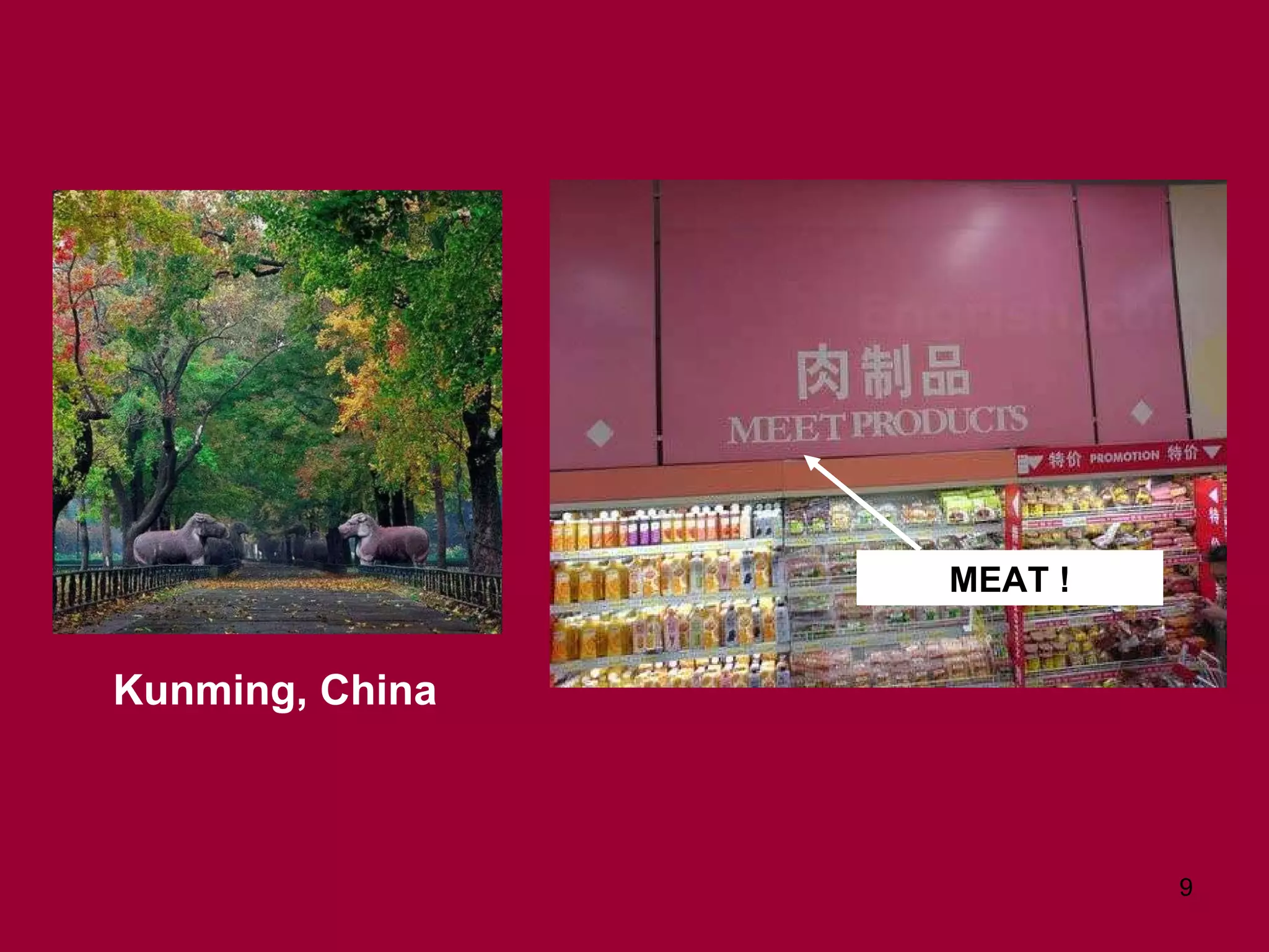 MEAT ! Kunming, China