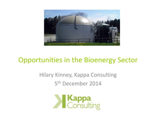 Opportunities in the Bioenergy Sector 
Hilary Kinney, Kappa Consulting 
5thDecember 2014  