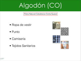 Algodón (CO)
• Ropa de vestir
• Punto
• Camisería
• Tejidos Sanitarios
Fibra Natural Celulósica Corta Suave
 