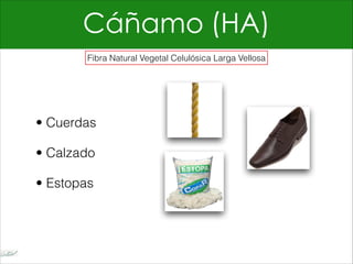 Cáñamo (HA)
• Cuerdas
• Calzado
• Estopas
Fibra Natural Vegetal Celulósica Larga Vellosa
 