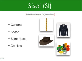 Sisal (SI)
• Cuerdas
• Sacos
• Sombreros
• Cepillos
Fibra Natural Vegetal Larga Resistente
 