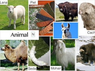 Animal
Piel
Seda Mohair
Cach
Lana
N
 