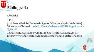 Bibliografia
1.MOORE
2.pro
3. Univversidad Autónoma de Aguas Calientes. (14 de 06 de 2012).
Slideshare. Obtenido de http://es.slideshare.net/RRGutz/pulmones-
13324160
4 Shutterstock. (14 de 07 de 2015). Shutterstock. Obtenido de
https://www.shutterstock.com/search/%22hand+outstretched%22
 