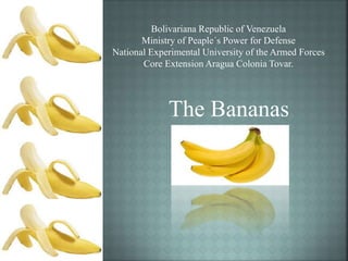 Bolivariana Republic of Venezuela
Ministry of Peaple´s Power for Defense
National Experimental University of the Armed Forces
Core Extension Aragua Colonia Tovar.
The Bananas
 