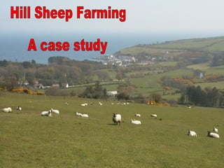Hill Sheep Farming A case study 