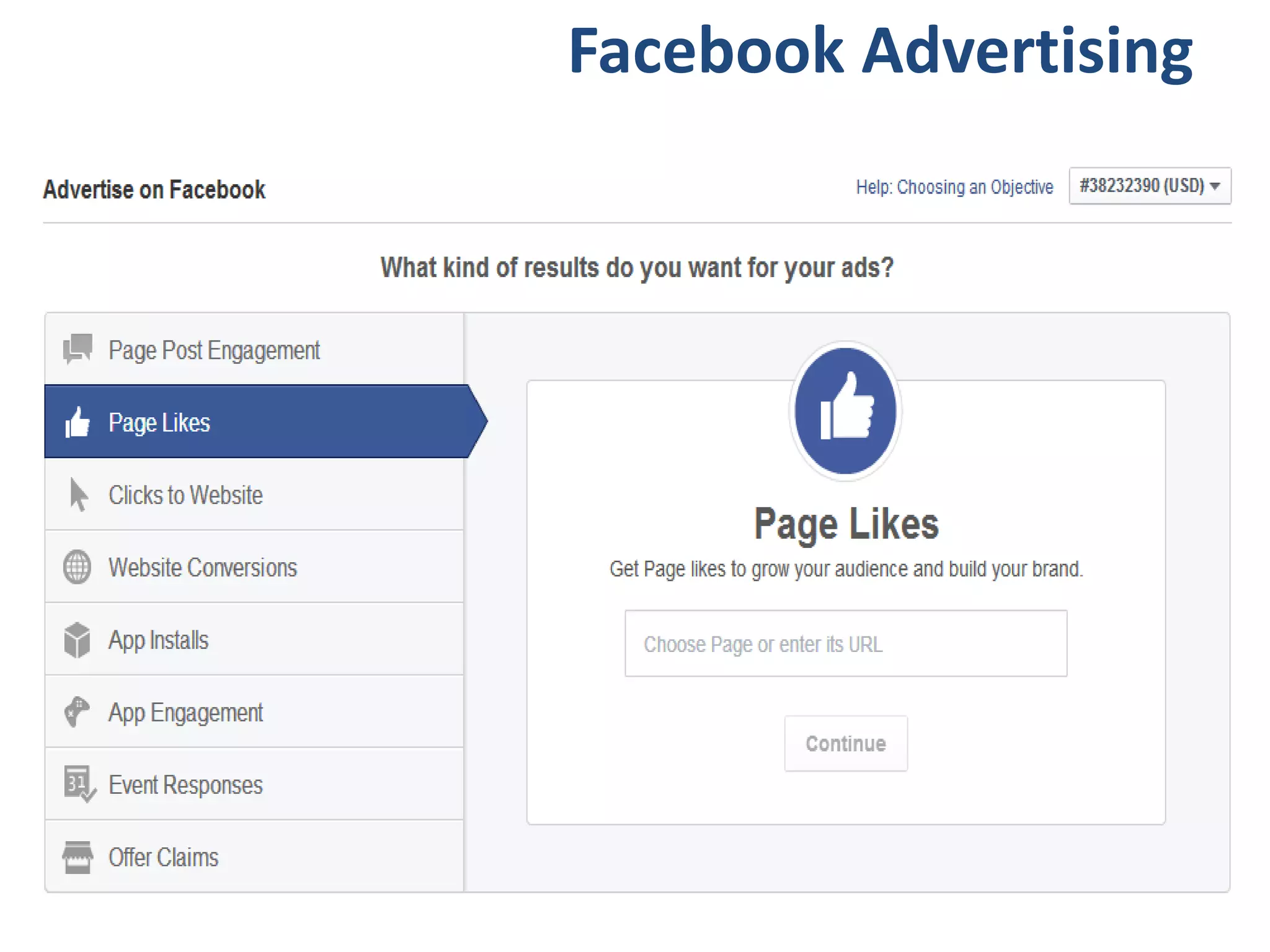 Facebook Advertising
 