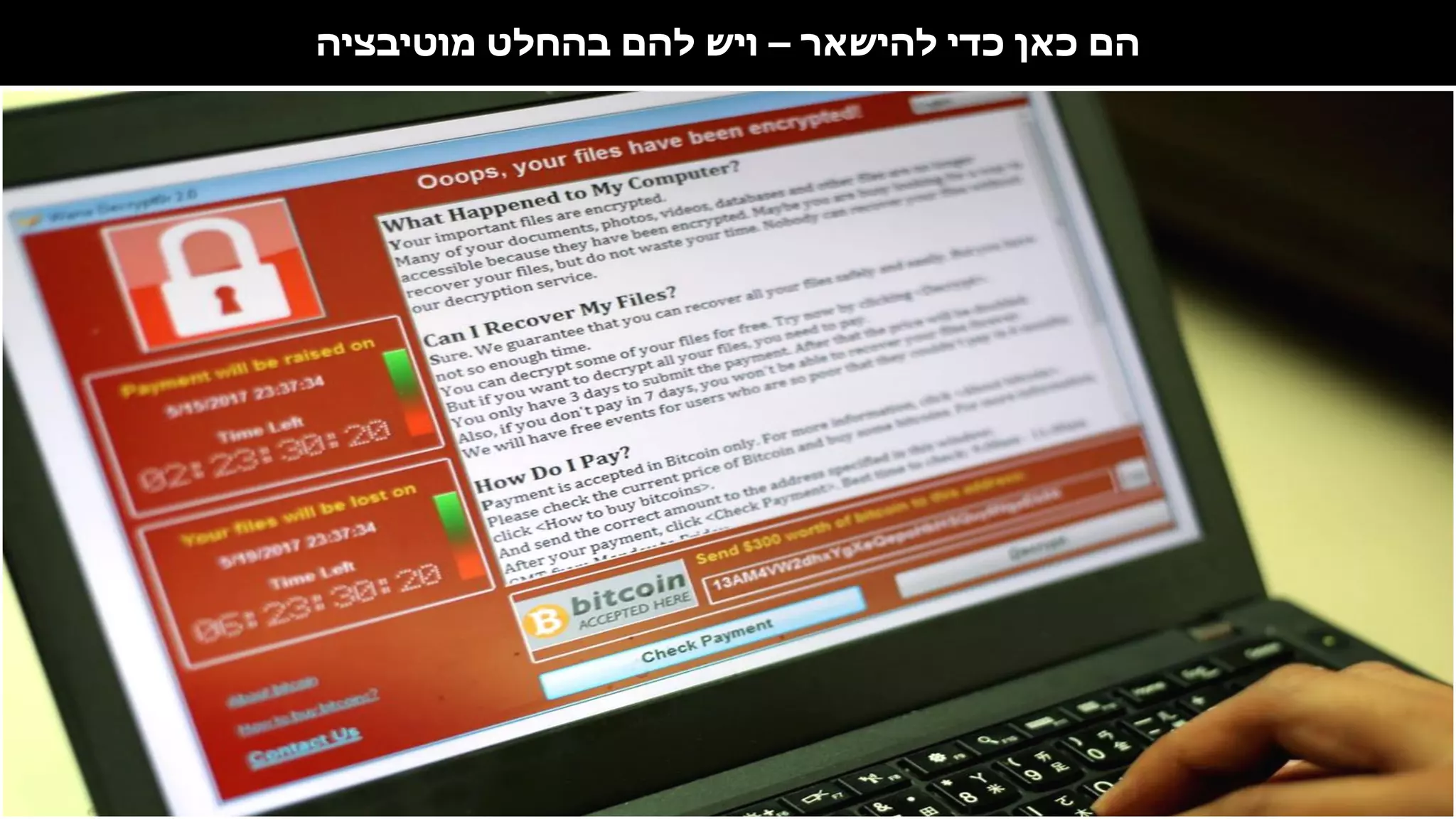 ‫להישאר‬ ‫כדי‬ ‫כאן‬ ‫הם‬–‫מוטיבציה‬ ‫בהחלט‬ ‫להם‬ ‫ויש‬
 