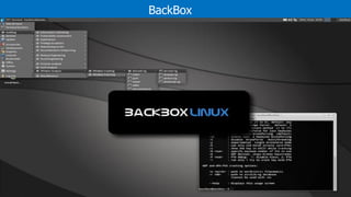 BackBox
 