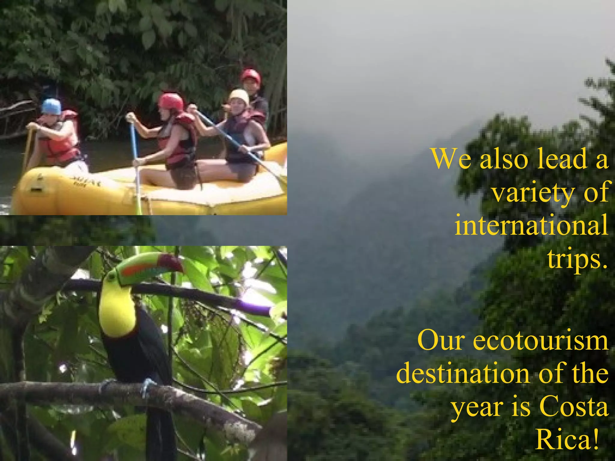We also lead a variety of international trips. Our ecotourism destination of the year is Costa Rica!  