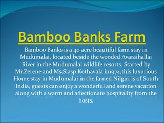 Bamboo Banks is a 40 acre beautiful farm stay in Mudumalai, located beside the wooded Avaraihallai River in the Mudumalai wildlife resorts. Started by Mr.Zerene and Ms.Siasp Kothavala in1974,this luxurious Home stay in Mudumalai in the famed Nilgiri is of South India, guests can enjoy a wonderful and serene vacation along with a warm and affectionate hospitality from the hosts. 