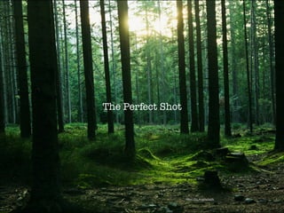 The Perfect Shot
https://ﬂic.kr/p/ns8wVk
 