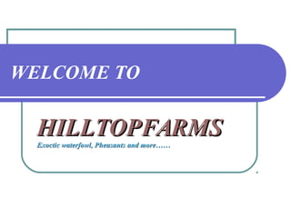 WELCOME TO
HILLTOPFARMSHILLTOPFARMS
Exoctic waterfowl, PheasantsExoctic waterfowl, Pheasants and more……and more……
 