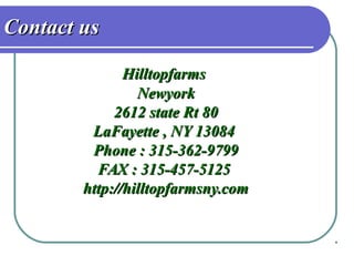 Contact usContact us
HilltopfarmsHilltopfarms
NewyorkNewyork
2612 state Rt 802612 state Rt 80
LaFayette , NY 13084LaFayette , NY 13084
Phone : 315-362-9799Phone : 315-362-9799
FAX : 315-457-5125FAX : 315-457-5125
http://hilltopfarmsny.comhttp://hilltopfarmsny.com
 