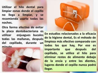 El Hilo Dental y la Importancia de la Higiene Oral Preventiva, OrtoDental, Ortodoncista en México CDMX