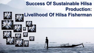 Success Of Sustainable Hilsa
Production:
Livelihood Of Hilsa Fisherman
 