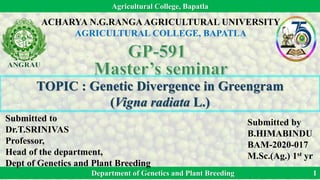 Agricultural College, Bapatla
Department of Genetics and Plant Breeding 1
ACHARYA N.G.RANGA AGRICULTURAL UNIVERSITY
AGRICULTURAL COLLEGE, BAPATLA
TOPIC : Genetic Divergence in Greengram
(Vigna radiata L.)
Submitted by
B.HIMABINDU
BAM-2020-017
M.Sc.(Ag.) 1st yr
Submitted to
Dr.T.SRINIVAS
Professor,
Head of the department,
Dept of Genetics and Plant Breeding
 