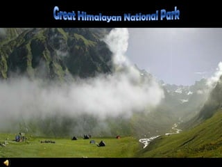 Great Himalayan National Park 