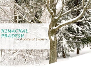 HIMACHAL
PRADESH

~:Abode of Snow:~

 