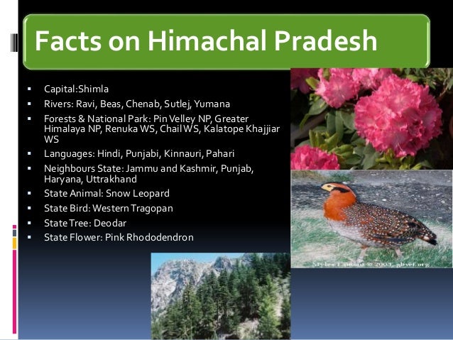 Himachal pradesh