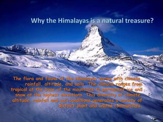 Why the Himalayas is a natural treasure?The flora and fauna of the Himalayas varies with climate, rainfall, altitude, and soils. The climate ranges from tropical at the base of the mountains to permanent ice and snow at the highest elevations. This diversity of climate, altitude, rainfall and soil conditions generates a variety of distinct plant and animal communities.