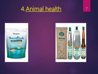 4.Animal health 7
 