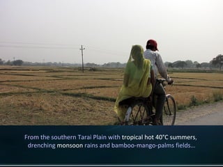 From the southern Tarai Plain with  tropical hot 40°C summers ,  drenching  monsoon  rains and bamboo-mango-palms fields… 