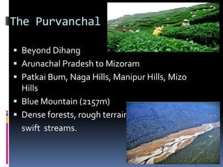The Purvanchal
 Beyond Dihang
 Arunachal Pradesh to Mizoram
 Patkai Bum, Naga Hills, Manipur Hills, Mizo
Hills
 Blue Mountain (2157m)
 Dense forests, rough terrain,
swift streams.
 