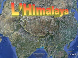 Himalaya&amp;their flowers(ss 08.13)a