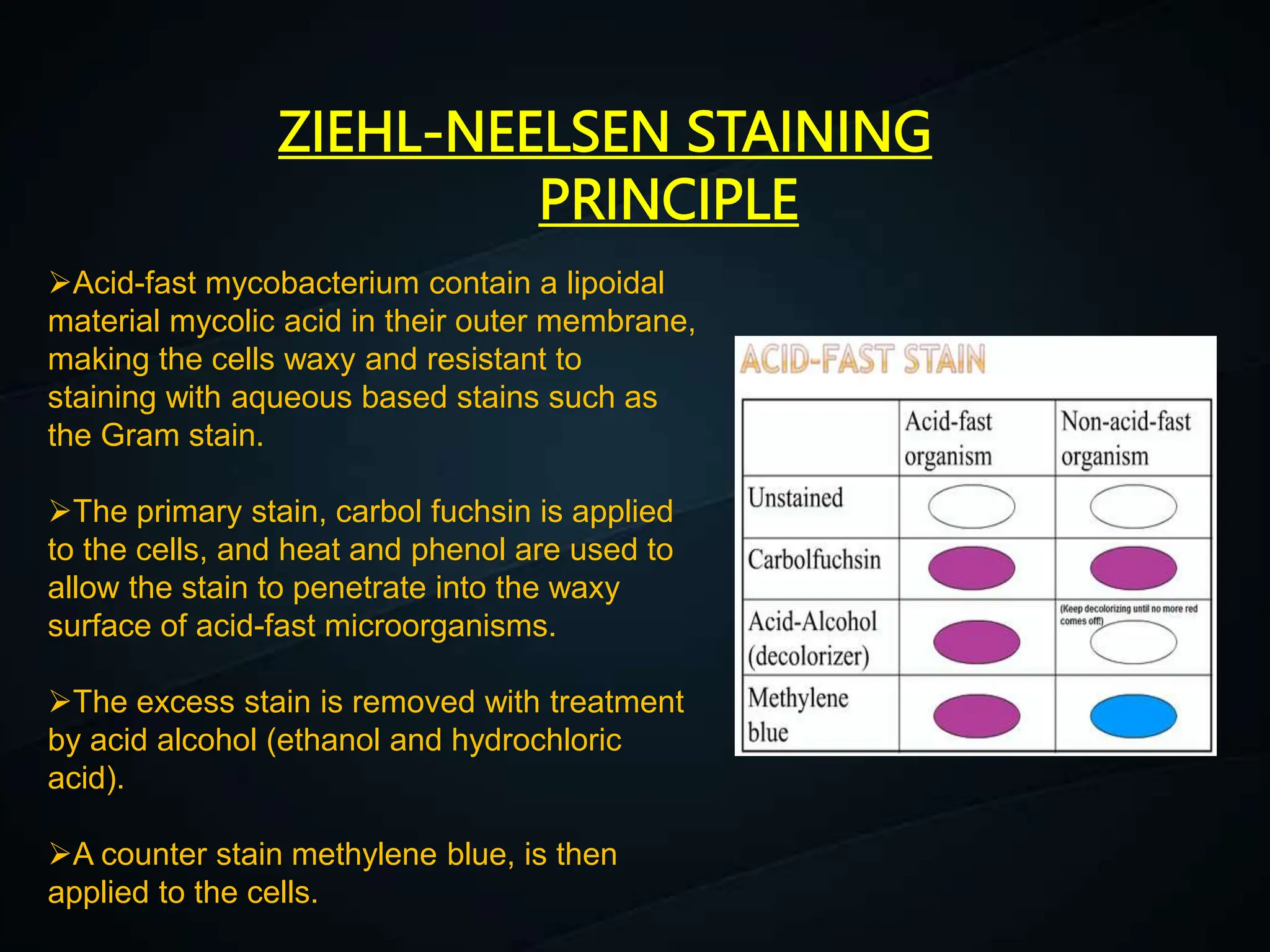 Himalay Baruah Acid Fast Staining pptx himalay-baruah-acid-fast-staining-pptx