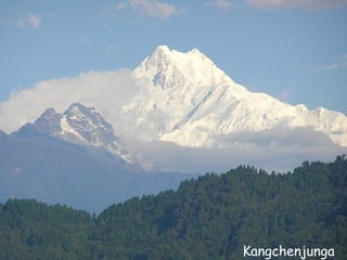 Daktylek
           Kangchenjunga
 