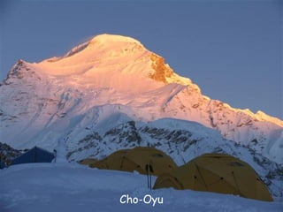 Daktylek   Cho-Oyu
 