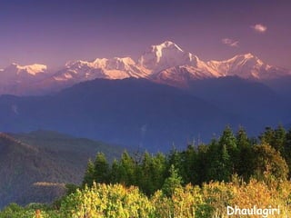 Daktylek
           Dhaulagiri
 