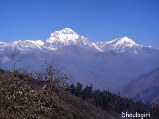 Daktylek
           Dhaulagiri
 