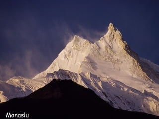 Manaslu
Daktylek
 