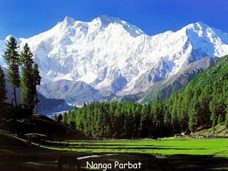 Daktylek
           Nanga Parbat
 