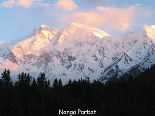 Daktylek
           Nanga Parbat
 