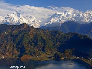Daktylek
           Annapurna
 