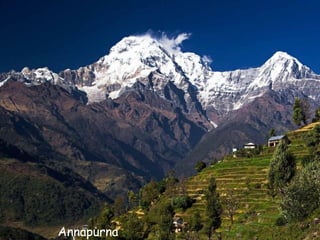 Daktylek
           Annapurna
 